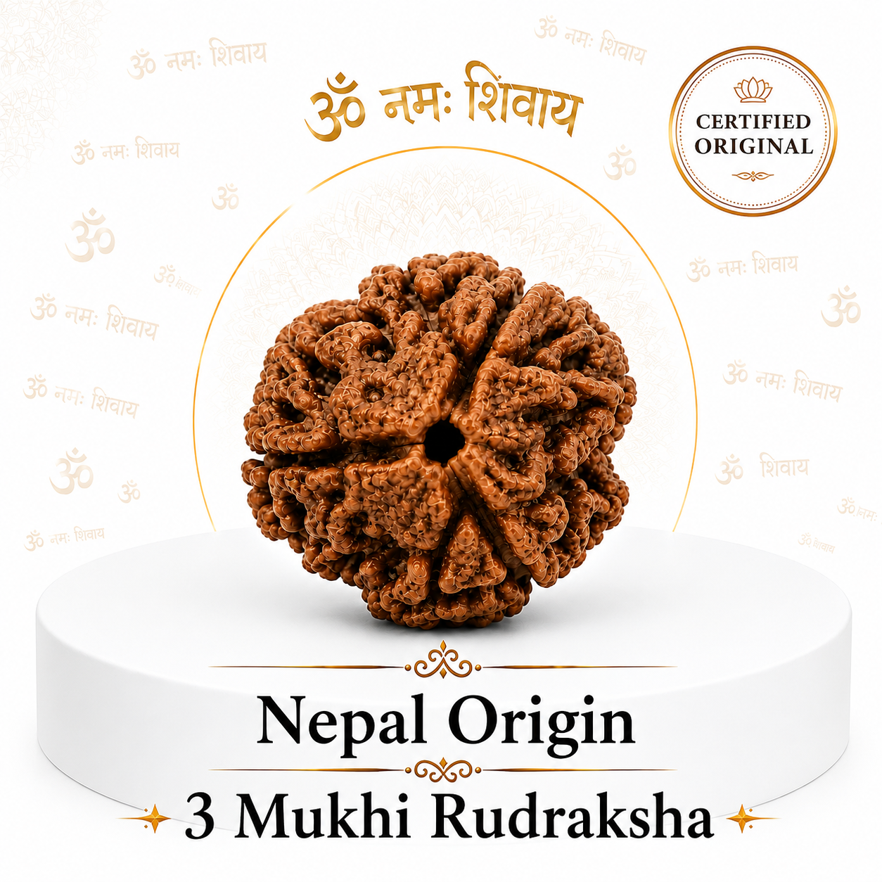 3 Mukhi Rudraksha ( Nepal Origin )